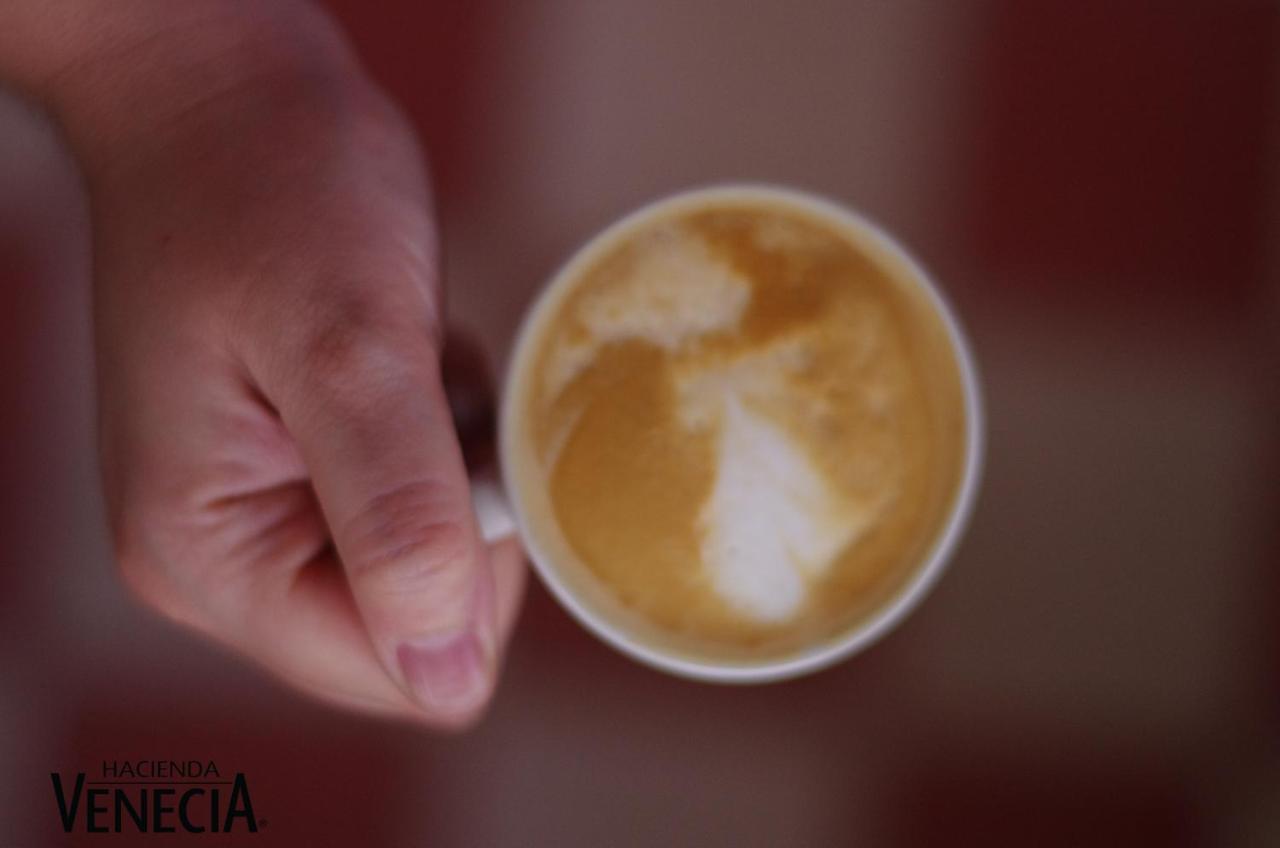 Hacienda Venecia Coffee Farm Hotel San Peregrino Ngoại thất bức ảnh