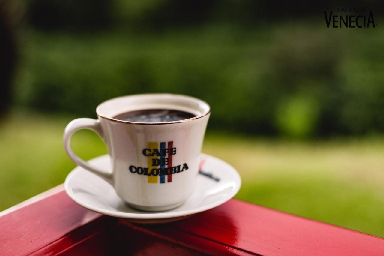 Hacienda Venecia Coffee Farm Hotel San Peregrino Ngoại thất bức ảnh