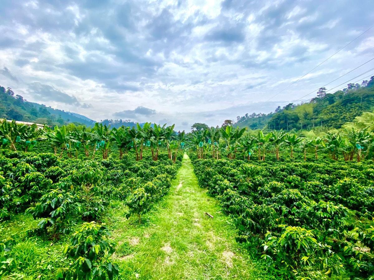 Hacienda Venecia Coffee Farm Hotel San Peregrino Ngoại thất bức ảnh