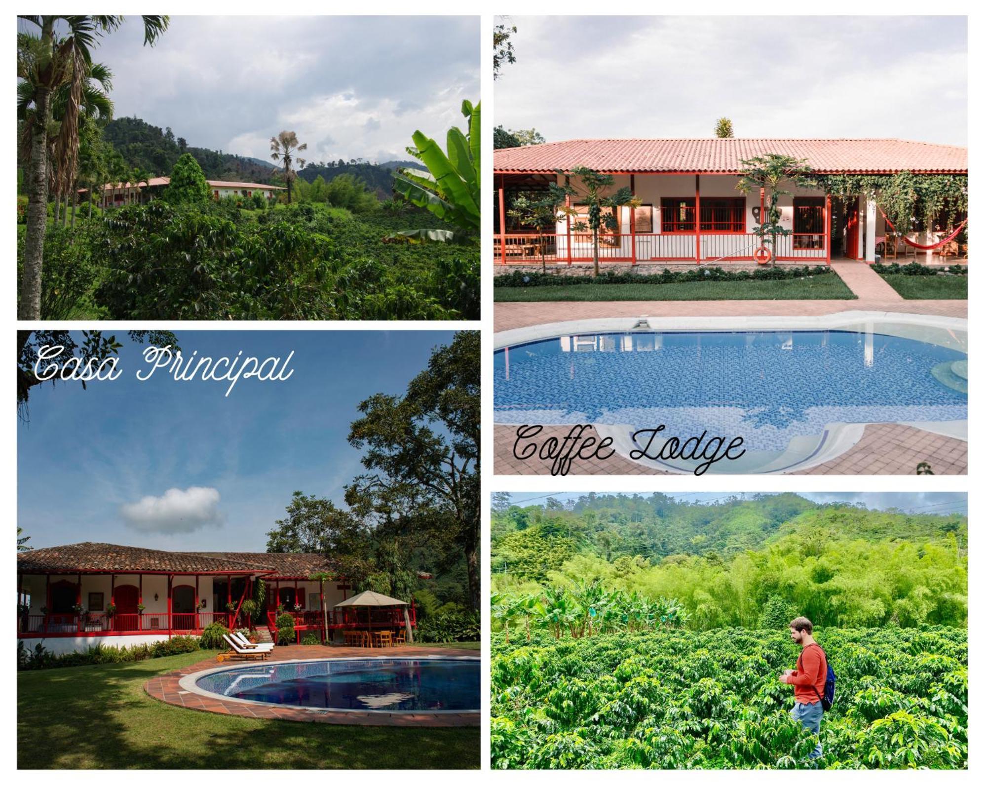 Hacienda Venecia Coffee Farm Hotel San Peregrino Ngoại thất bức ảnh