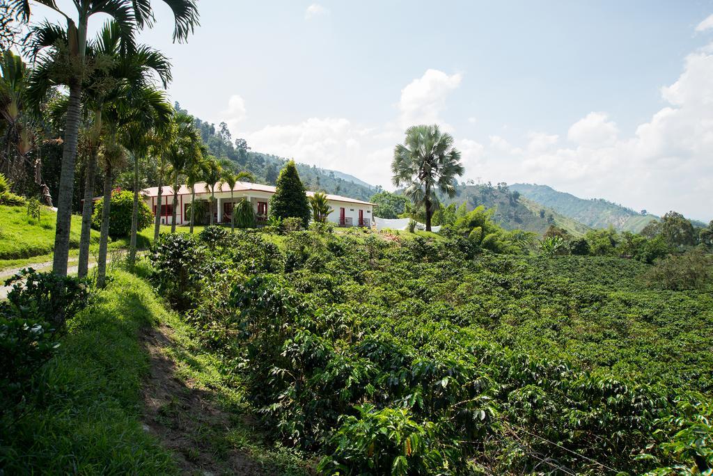 Hacienda Venecia Coffee Farm Hotel San Peregrino Phòng bức ảnh